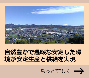 自然豊かで温暖な地から安定生産と供給を実現