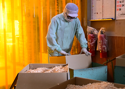 株式会社森田木工所